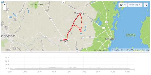 first ladiies night route