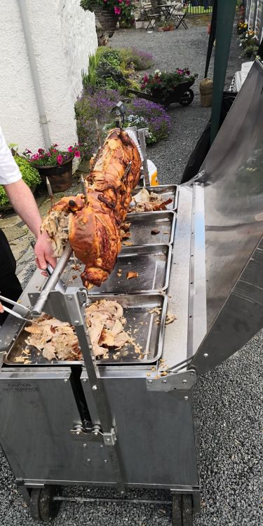 64324862_429598390958686_4497569287128481792_n